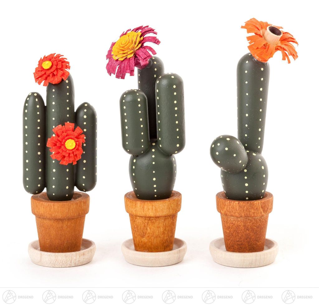 Miniatur Kakteen (3) Höhe ca 6 cm NEU