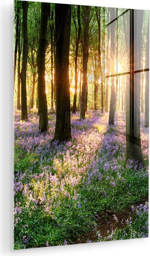 MuchoWow Glasbilder - Bilder auf Wandbild - Foto auf Glas Wald - Blumen - Lavendel - Sonne - Lila - Natur 40x60 cm Wanddekoration aus Glas - Acrylg...