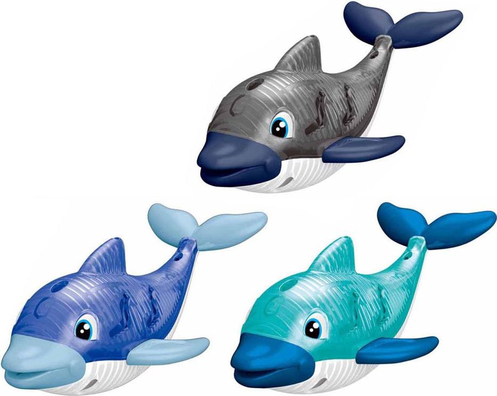 Delphin mit Licht tauchen