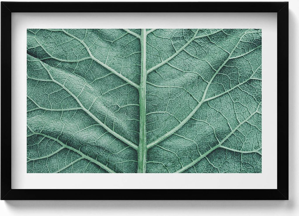 Nahaufnahme der Adern eines Blattes– Wandbild mit Rahmen – Gerahmtes Bild – Wanddekoration – 60x40 cm – Schwarz Rahmen