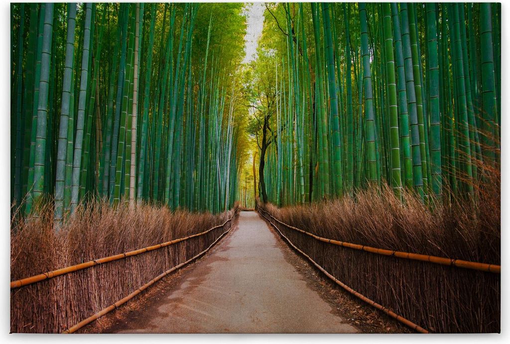 Leinwandbild Bäume Wald 60 x 90 cm - Wandbild Pfad Grün Braun - Keilrahmen Natur Wohnzimmerdeko Wanddeko Wandgemälde