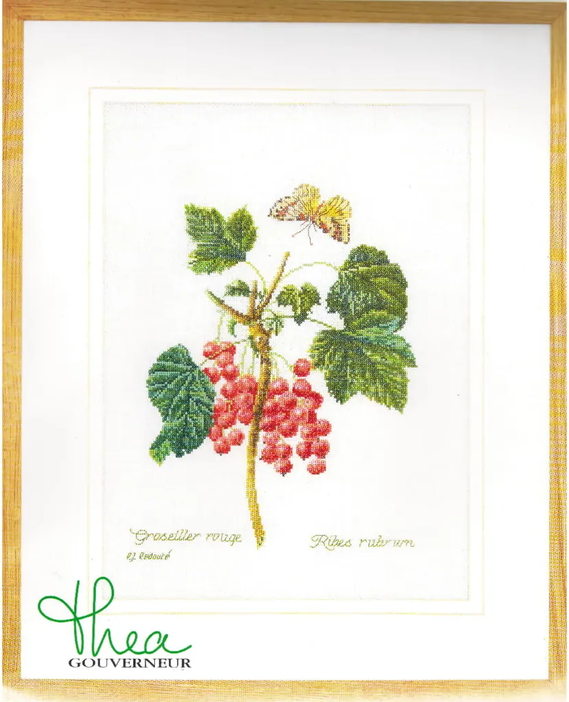 Broderie Point de Croix Compté Ribes Rosso Kit Complet Aida 26x35cm