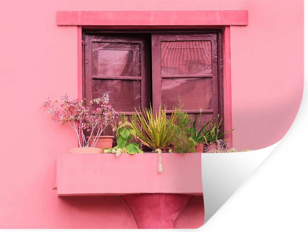 MuchoWow Wandtattoo Wandsticker Wandaufkleber Fenster - Pflanzen - Rosa - Pflanzgefäß 80x60 cm Selbstklebend und Repositionierbar - Faltenfrei