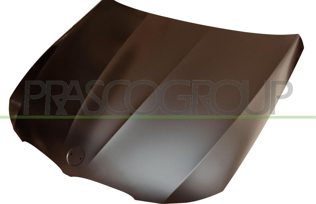 PRASCO BM0263130 Motorhaube