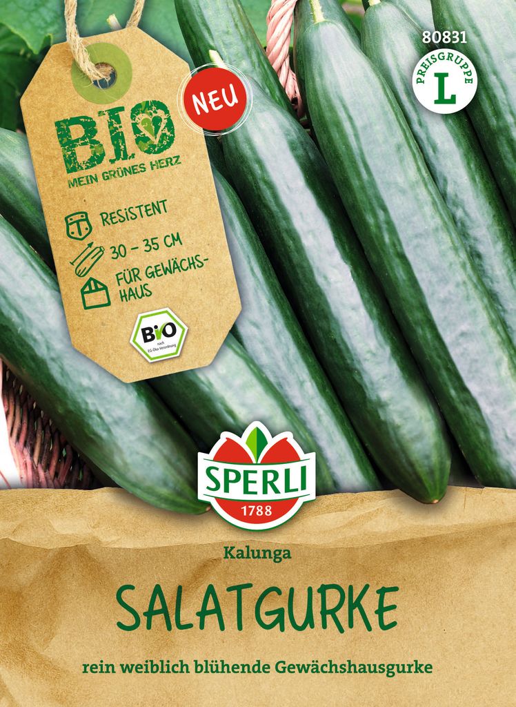 SPERLI Salatgurke Kalunga Cucumis sativus