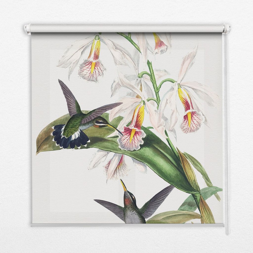 Seitenzug-Rollo Fensterrollo Jalousie - Lichtdurchlässig Springrollos - 110x180 cm - Vögel auf einer Blume