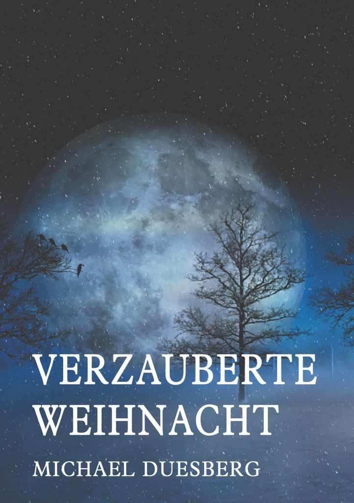 Verzauberte Weihnacht