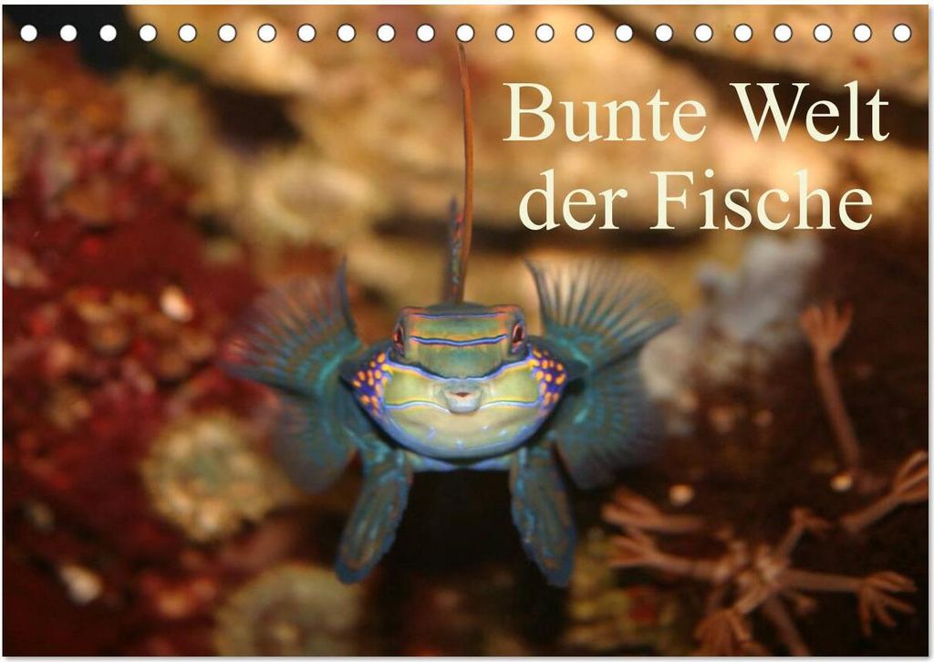 Bunte Welt der Fische (Tischkalender 2026 DIN A5 quer), CALVENDO Monatskalender