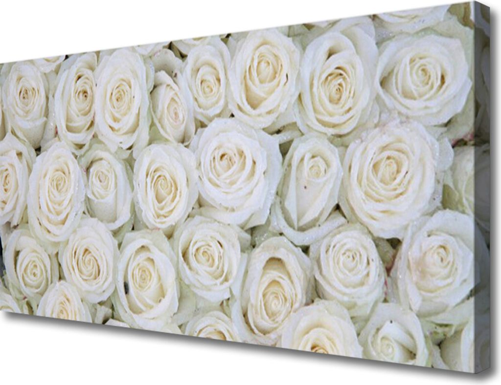 Tulup Leinwand-Bilder 100x50 Wandbild Canvas Kunstdruck Rosen Pflanzen