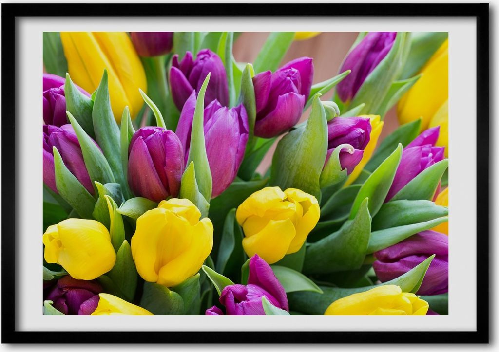 Bild - Bilderrahmen - 100 cm x 70 cm - MDF - Rahmen - Foto - Wandkunst bunte Tulpen