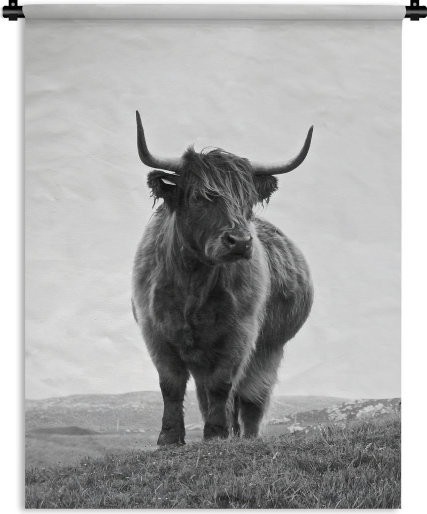 MuchoWow Wandteppich Wandbehang Tiere - Schottische Hochlandbewohner - Schwarz und weiß - Natur - Ländlich 90x120 cm Tapisserie Dekoration Wand...
