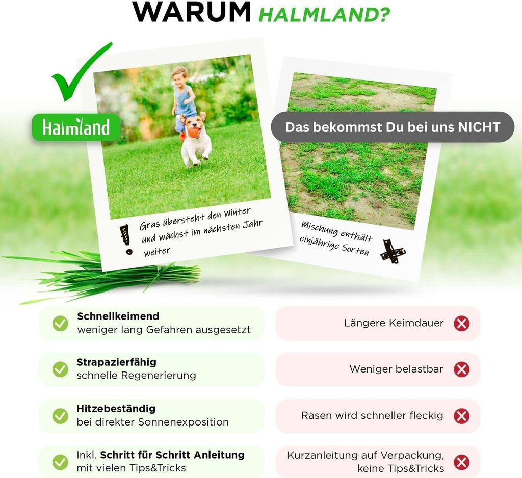 Rasensamen schnellkeimend 2,5kg = 75-100m² Sport und Spiel Produktbild 8