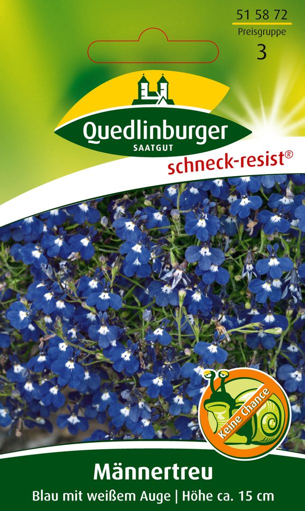 Männertreu, Blau mit weißem Auge Produktbild 