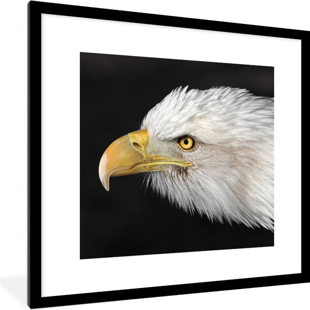 MuchoWow® Gerahmtes Poster Adler - Vogel - Schnabel - Augen Produktbild 