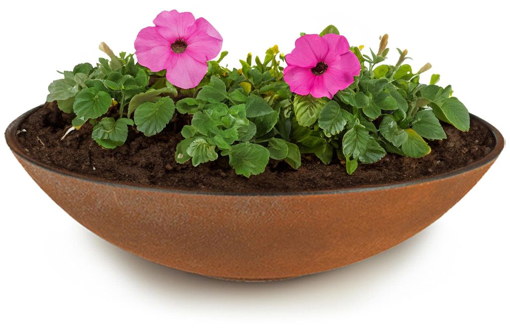 Jardinière plate pour l'extérieur Jardinière décorative Image du produit 