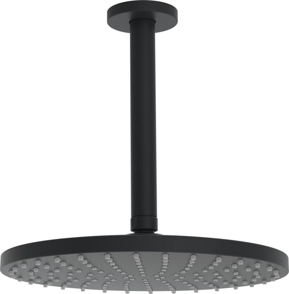HANSA HANSAVIVA Kopfbrause, rund, Durchmesser 250mm, 1-strahlig, Deckenmontage, 4427020033