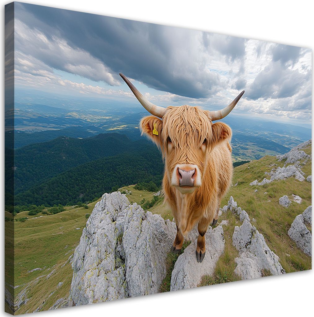 Leinwandbild Highland-Kuh Felsen Berge 90x60 Feeby Braun bild für die wand bereit zum aufhängen