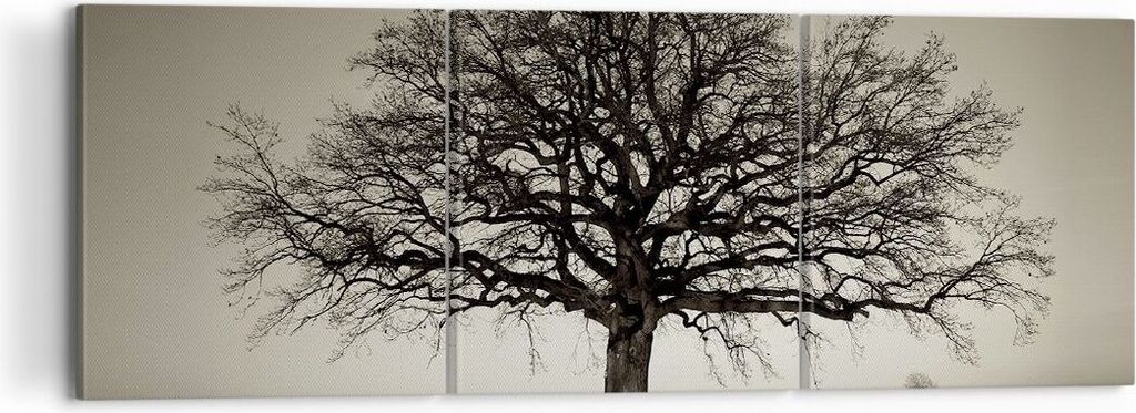 Bild auf Leinwand - Leinwandbild - 3 Teile - Baum Schnee Sepia - 120x40cm - Wand Bild - Wanddeko - Wandbilder - Leinwanddruck - Bilder - Wanddekora...