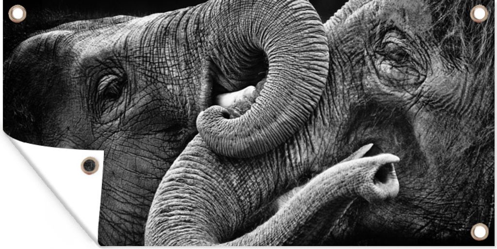 MuchoWow 80x40 cm Outdoor-Poster Gartendeko Sichtschutz Garten Poster für den Garten Elefant - Tier - Rüssel