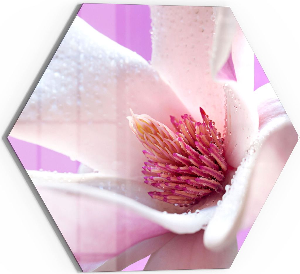 DEQORI Magnettafel Glas 55x48 cm 6-eckig 'Magnolienblüte' beschreibbar Whiteboard