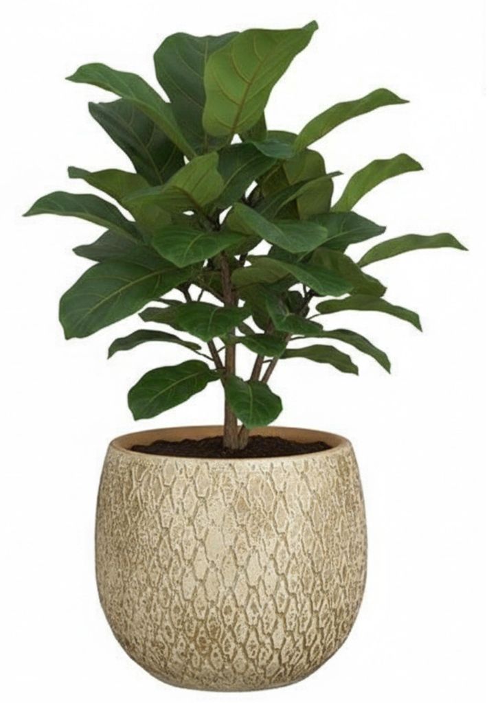 Glimmer Blumentopf / Pflanztopf Madeira - creme - Produktbild 