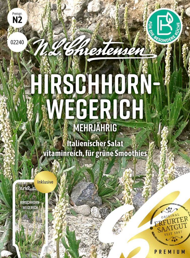 Artikelbild 1 von 'Hirschhornwegerich Mehrjährig' aus der Kategorie Kräutersamen