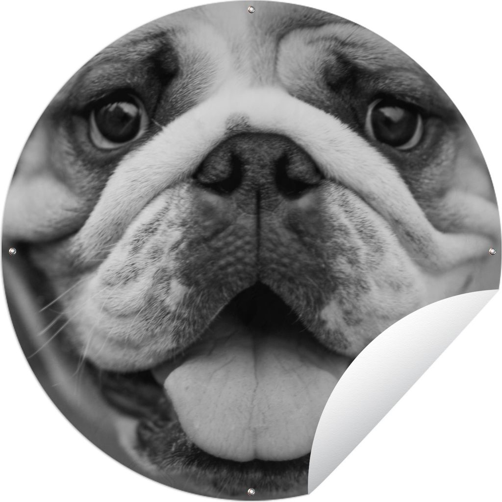 MuchoWow Gartenposter Outdoor-Poster Rund Tierprofil Bulldogge in schwarz und weiß Ø 60 cm Gartendeko Rundes Poster draußen