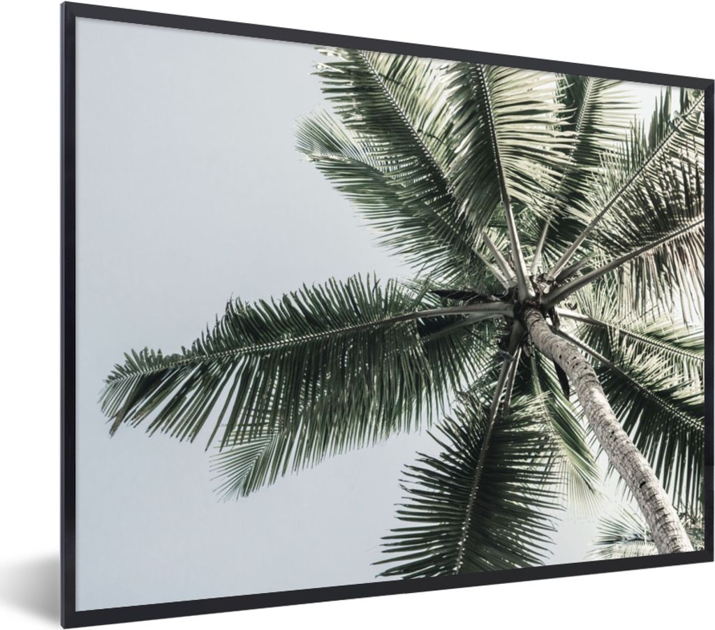 MuchoWow Gerahmtes Poster Palme - Tropisch - Sommer 40x30 cm - Poster mit Schwarzem Bilderrahmen Wandposter Rahmen Foto Bilder - Kunstposter - Wa...
