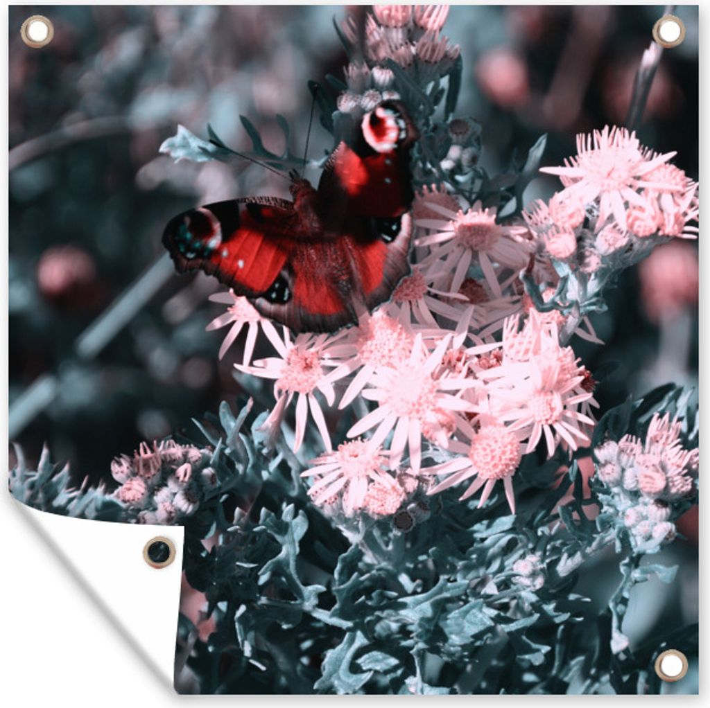 MuchoWow 100x100 cm Outdoor-Poster Gartendeko Sichtschutz Garten Poster für den Garten Tagpfauenauge auf rosa Blüten