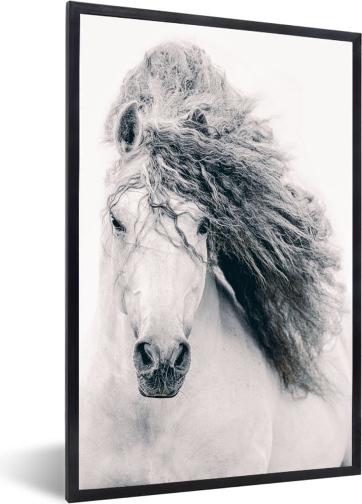 MuchoWow MuchoWow Gerahmtes Poster Pferd - Grau - Mähne 20x30 cm - Poster mit zchwarzem Bilderrahmen - Drucken - Bilder Poster im Rahmen