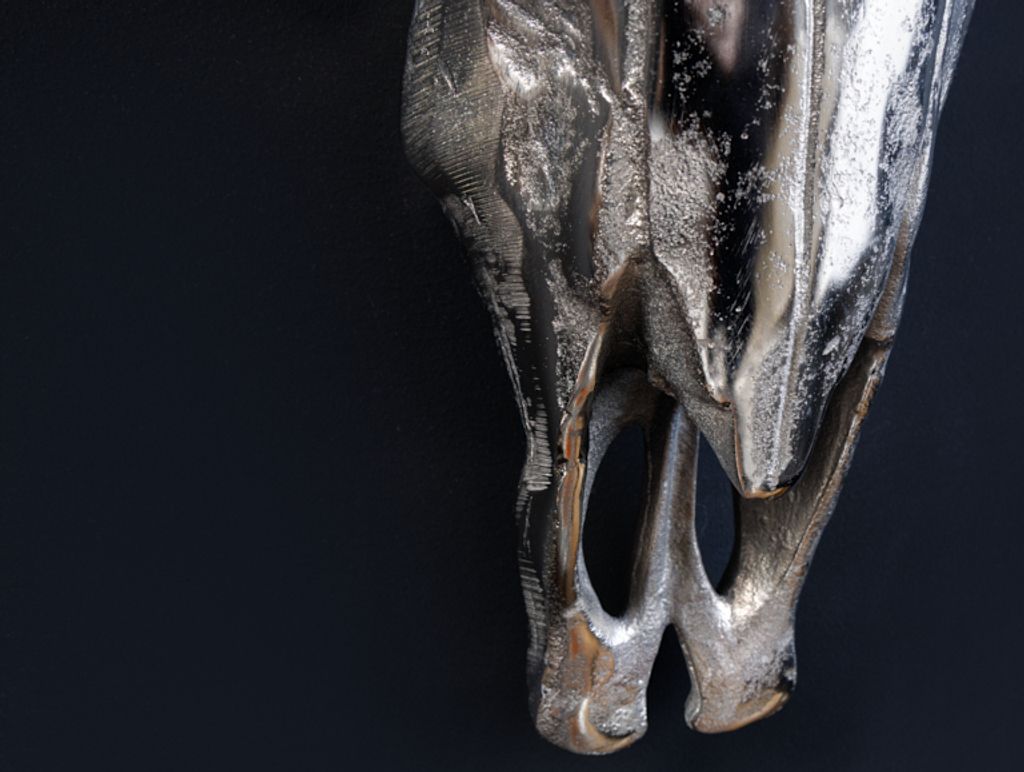 Eindrucksvoller Deko Schädel MATADOR Longhorn Skull massive Produktbild 6