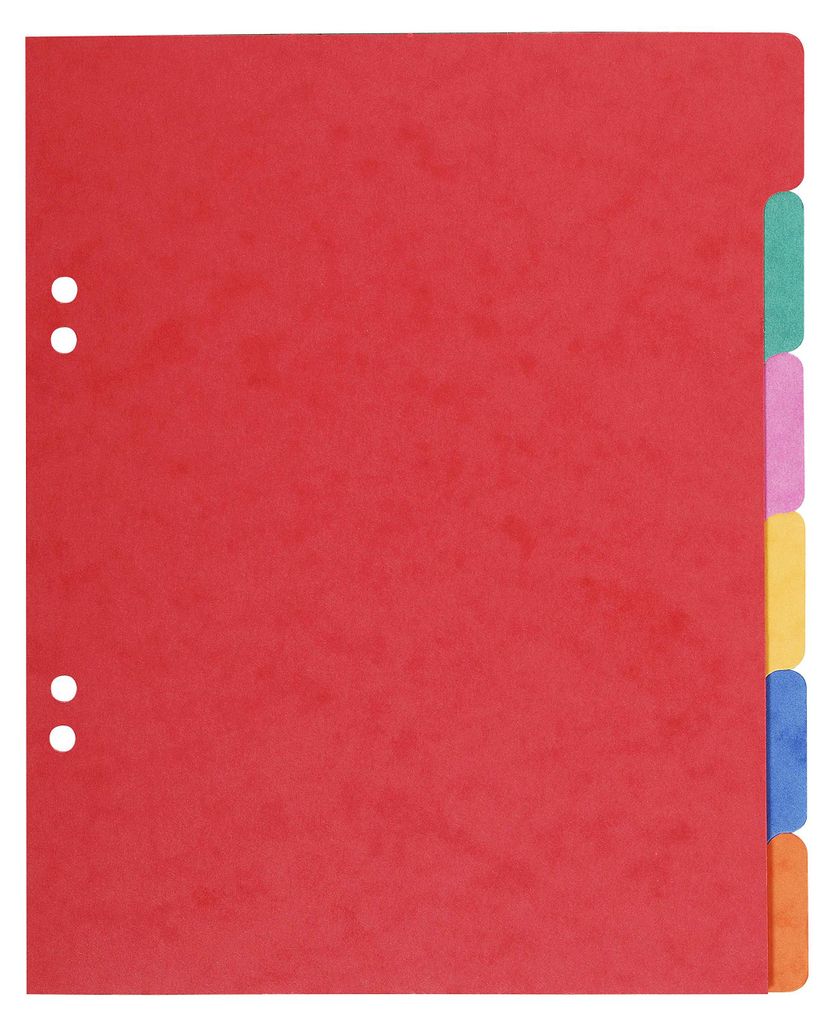 Exacompta Nature Future Registerabschnitte, 6 Laschen, Produktbild 
