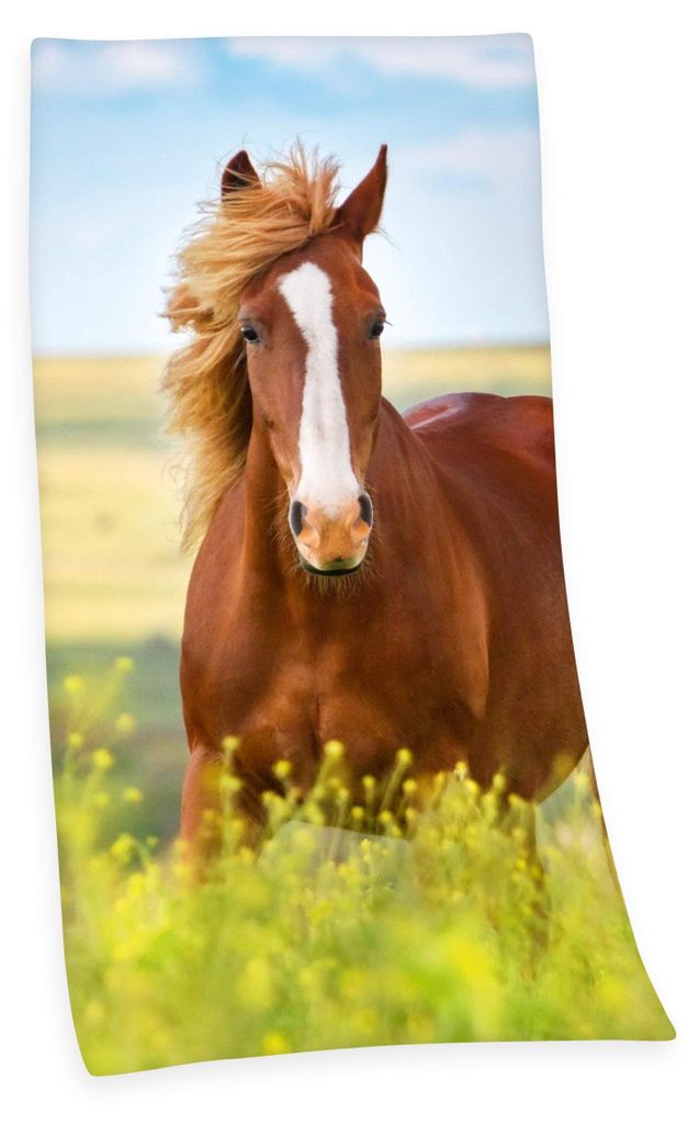 Panno di velluto per cavalli / 75x150 cm Immagine del prodotto 