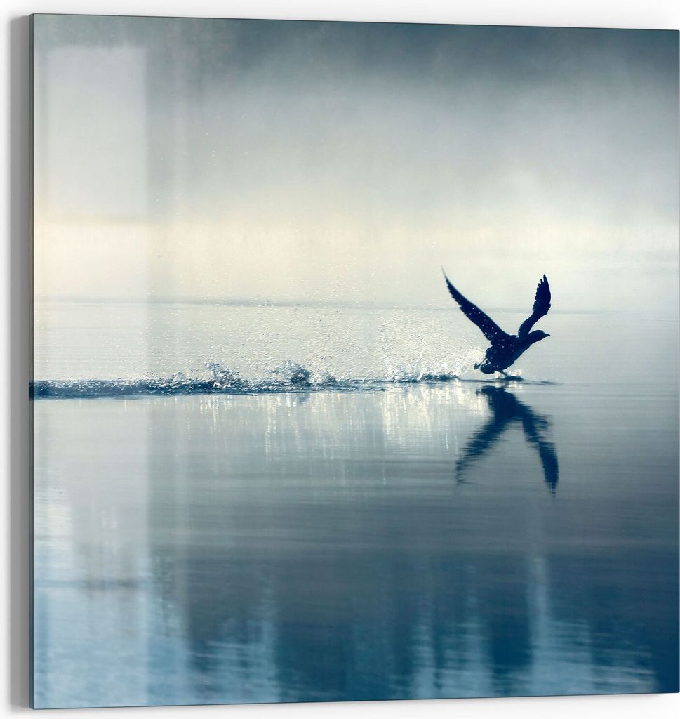 DEQORI Glasbild Echtglas 50x50 cm 'Vogel landet auf Wasser' Wandbild Bild modern Deko