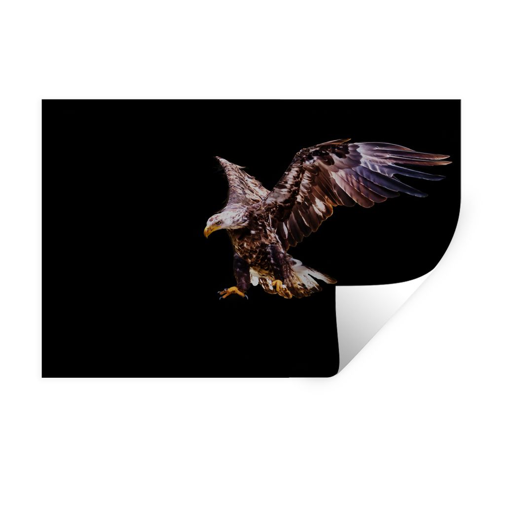 MuchoWow Wandtattoo Wandsticker Wandaufkleber Adler - Nacht - Vögel 120x80 cm Selbstklebend und Repositionierbar - Selbstklebend - Fototapeten