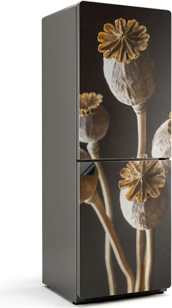 Getrocknete Mohnblumen in einer Vase – Magnetische Kühlschrank Abdeckung – Dekorfolie magnetisch Küche – Kühlschrank Magnet Deko – selbs...