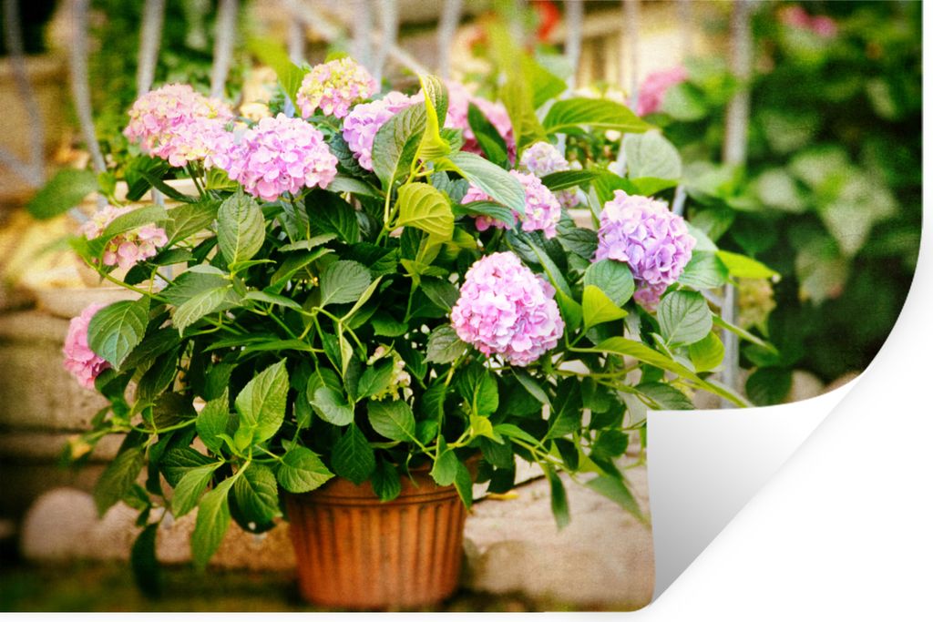 MuchoWow - Wierderverwendbar - Selbstklebend