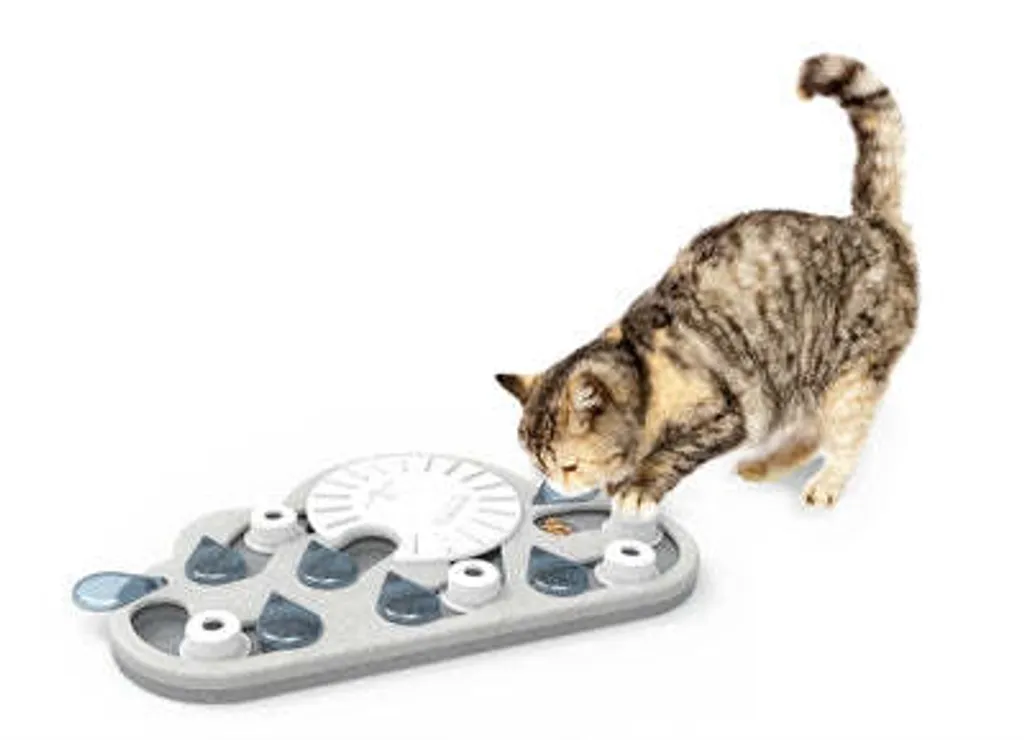 Jeu Interactif Rainy Day pour Chat - Plateau de Casse-Tête Niveau Expert