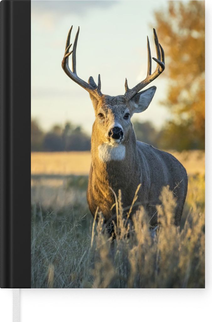 MuchoWow Notizbuch Tagebuch Haushaltsbuch Notebook A5 Hirsche - Gras - Herbst - Geweih - Natur - Tiere - Notizblock - Notizheft - Notebook - Schr...
