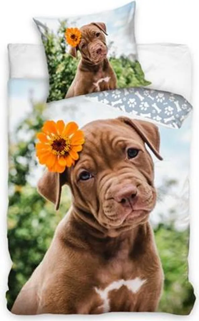 Literie 160x200 Labrador en coton : confort idéal pour passionnés de chiens