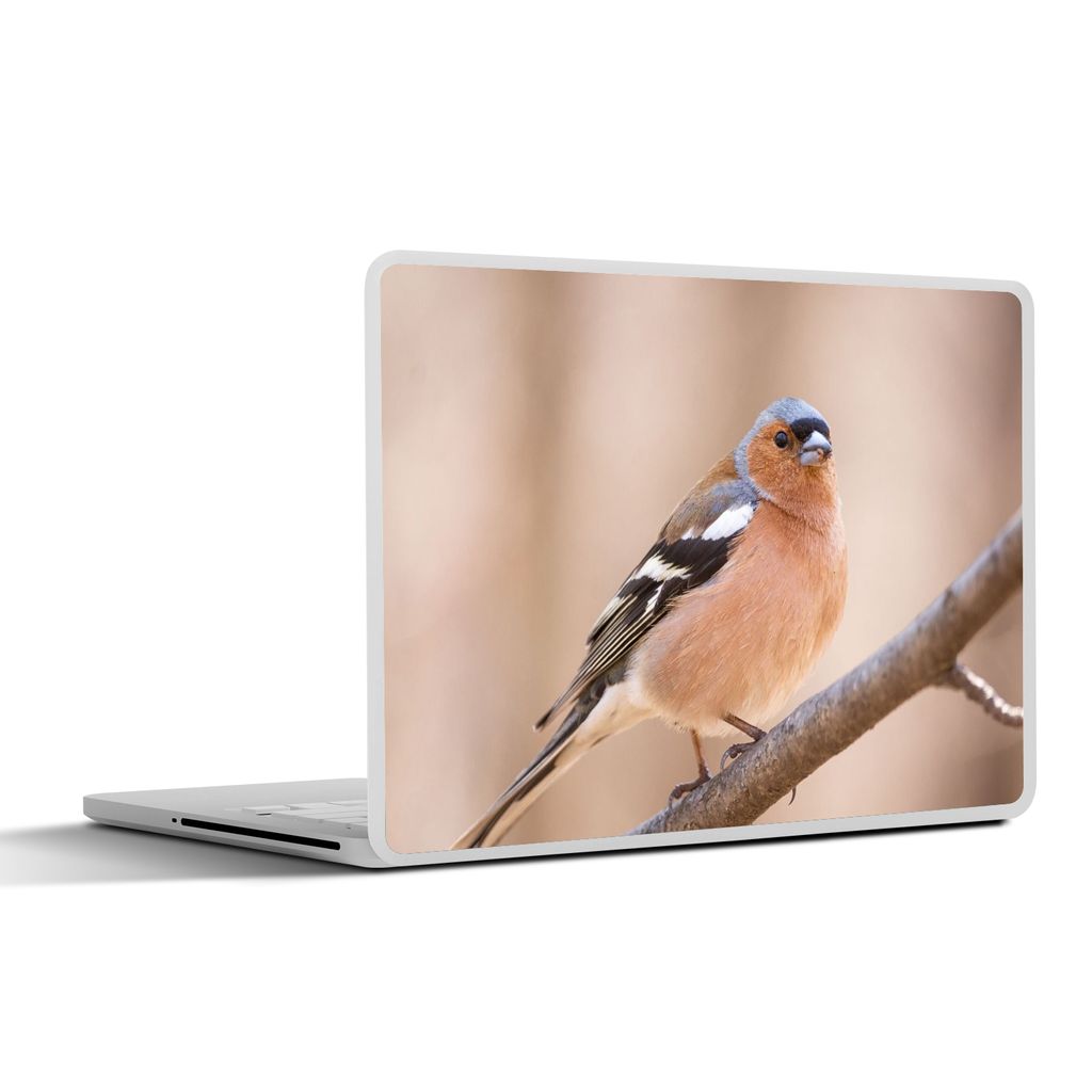 MuchoWow Laptop Aufkleber Sticker Cover Vogel - Tiere - Fink 36.5x27.5 cm - Laptop-Sticker