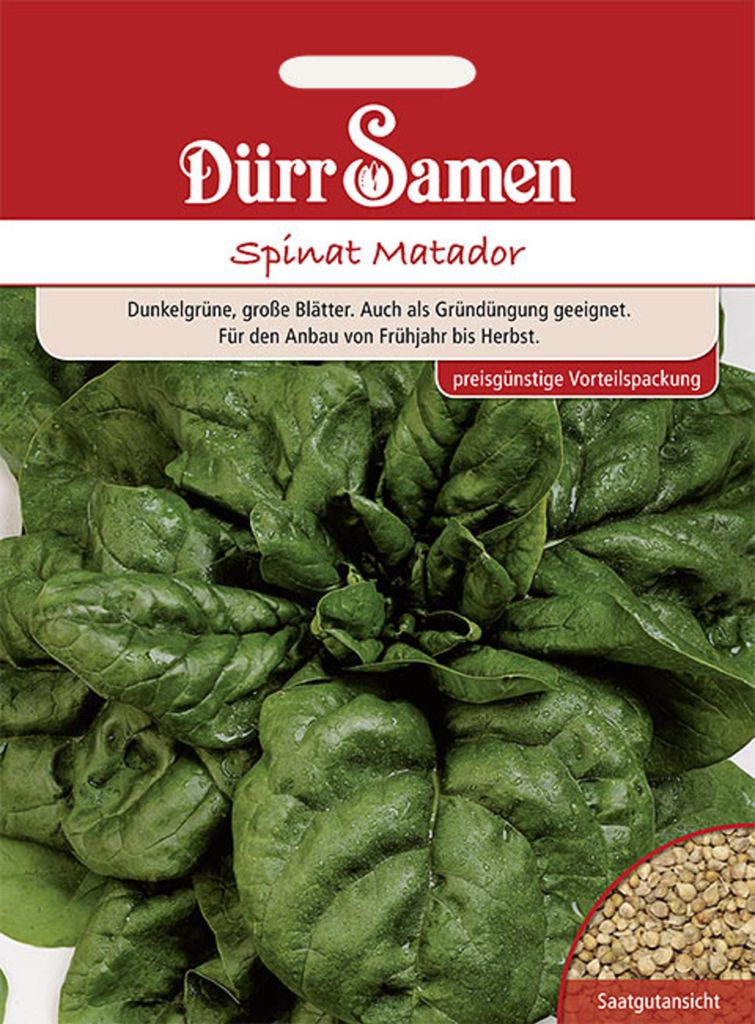 Dürr-Samen - Spinat Matador Vorteilspackung - Saatgut - 0596