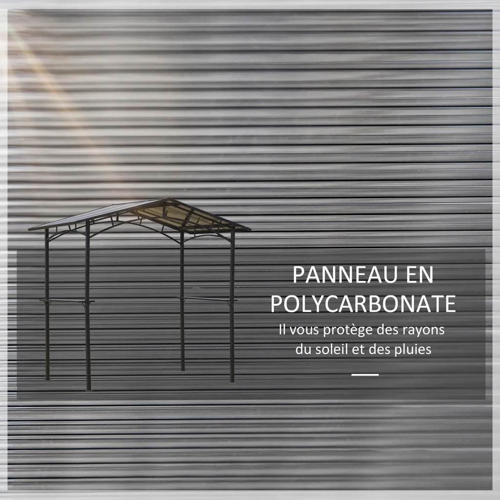 Abri de Barbecue en Métal avec Toit en Polycarbonate et 2 Étagères
