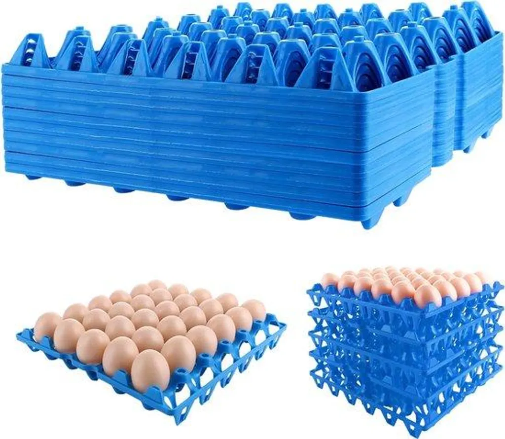 Rangement œufs bleu 30 compartiments avec couvercle de protection