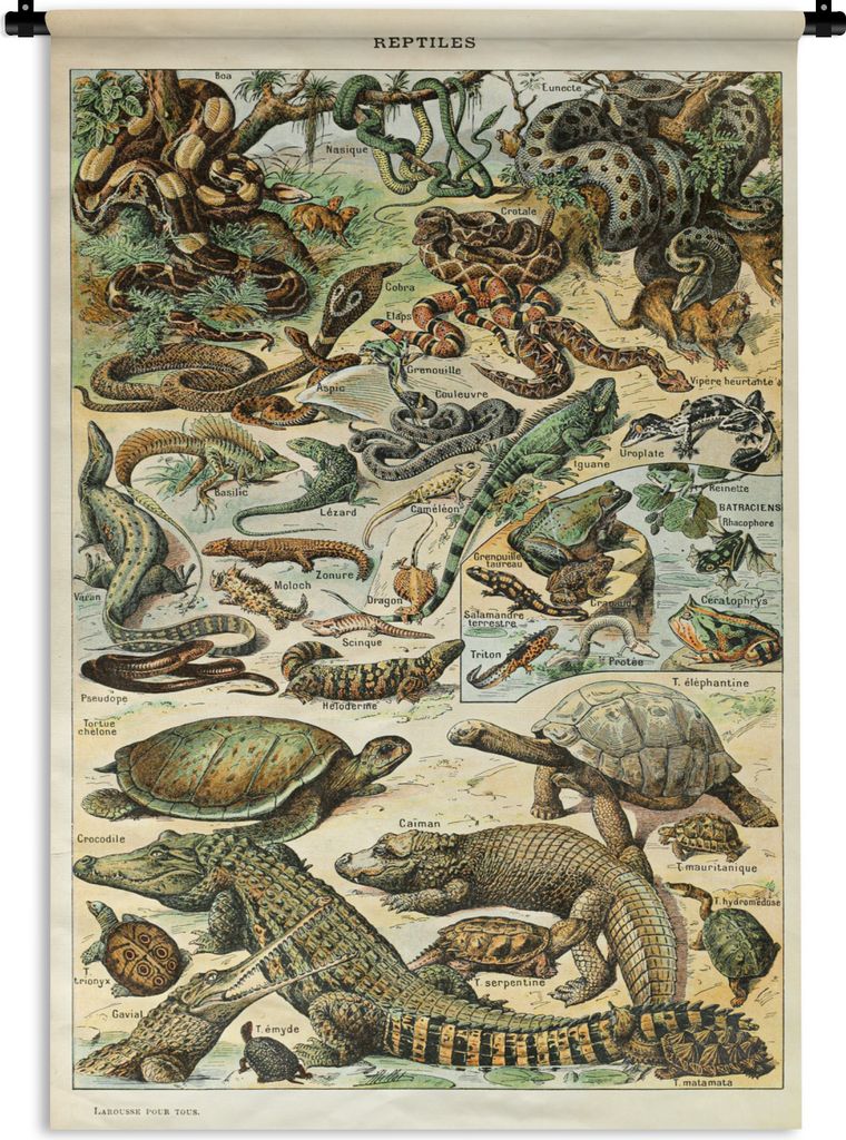 MuchoWow Wandteppich Wandbehang Reptilien - Tiere - Natur 90x135 cm Tapisserie Dekoration Wandtuch - Baumwolle - Wandskulptur