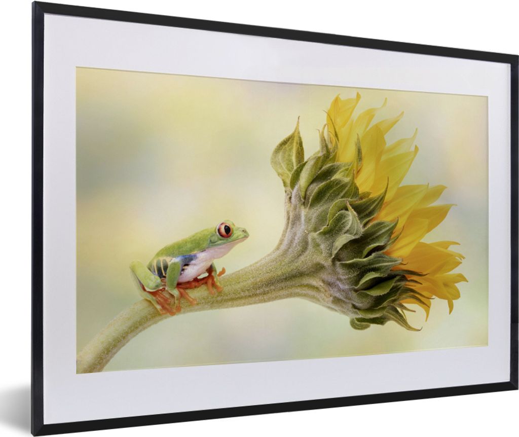 MuchoWow MuchoWow Gerahmtes Poster Sonnenblume - Tier - Frosch 60x40 cm - Poster mit zchwarzem Bilderrahmen - Schlafzimmer - Plakat in Rahmen -...