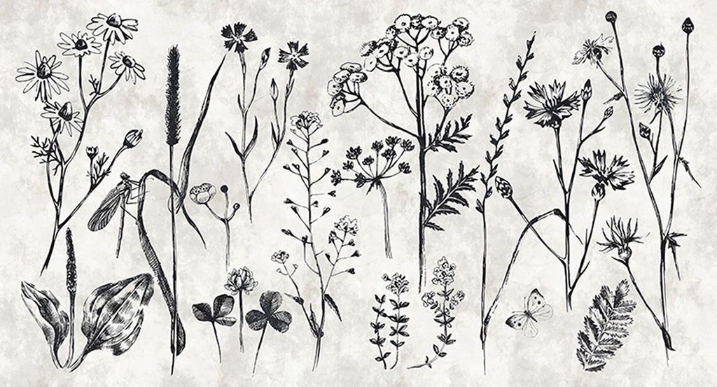 Tadessi Fototapete | Blumen | 5.00 m x 2.70 m | Weiß | Schwarz | Wandbild | Digitaldruck