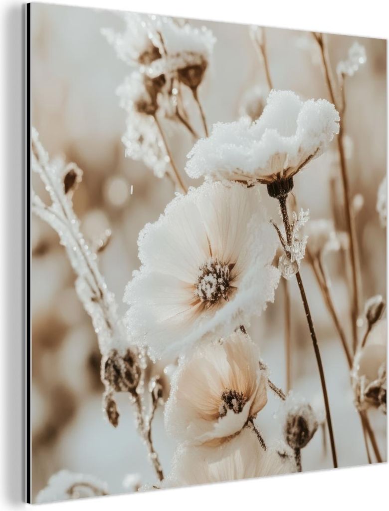 MuchoWow Wanddekoration Metall Metallbild Wandkunst 50x50 cm Blumen - Winter - Weiß - Schnee - Beige MuchoWow Aluminium Gemälde - Alubild - Indus...