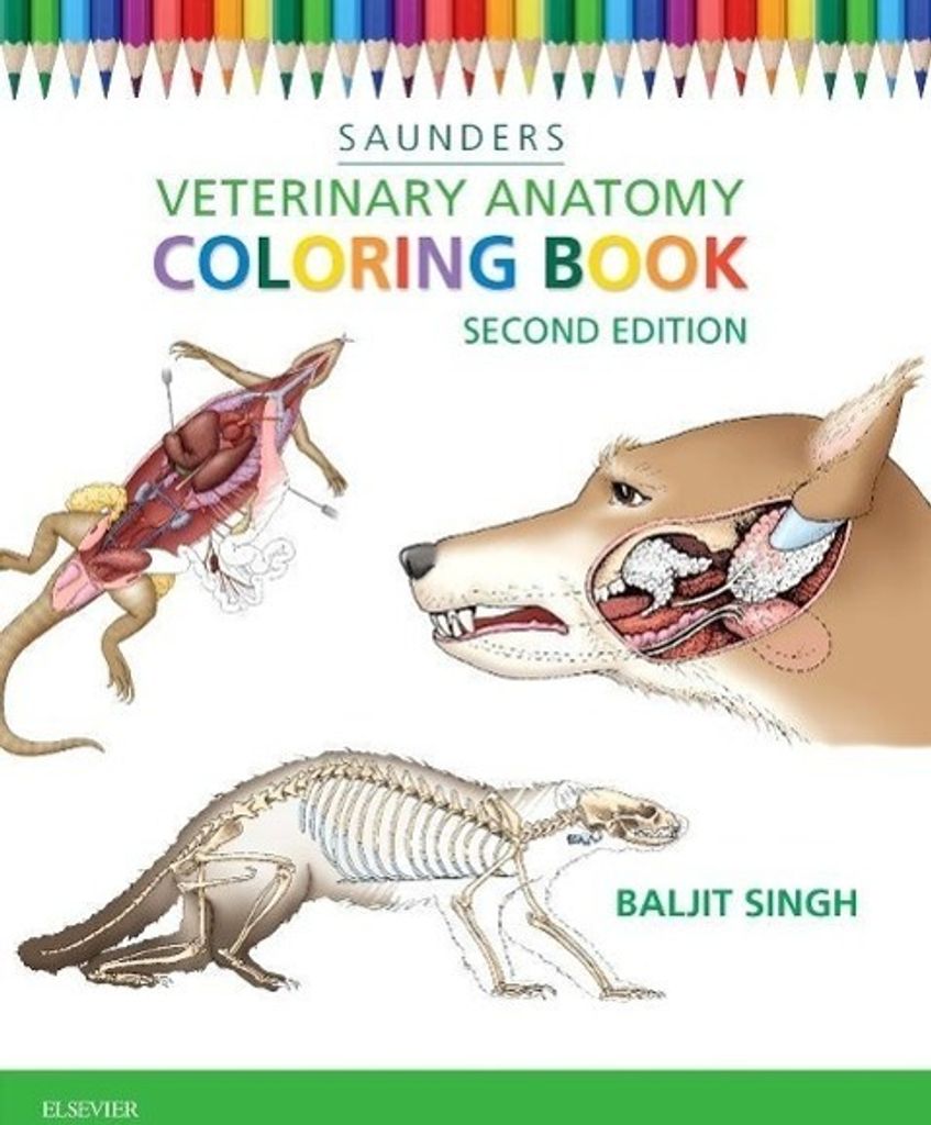 Veterinary Anatomy Coloring Book