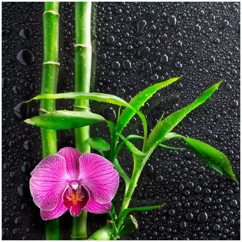 Wallario Premium Glasbild, freischwebende Optik, kräftige Farben, Größe 30 x 30 cm Motiv Bambus und pinke Orchidee auf schwarzem Glas mit Regent...